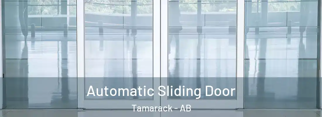  Automatic Sliding Door Tamarack - AB