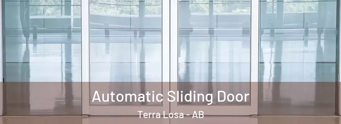  Automatic Sliding Door Terra Losa - AB
