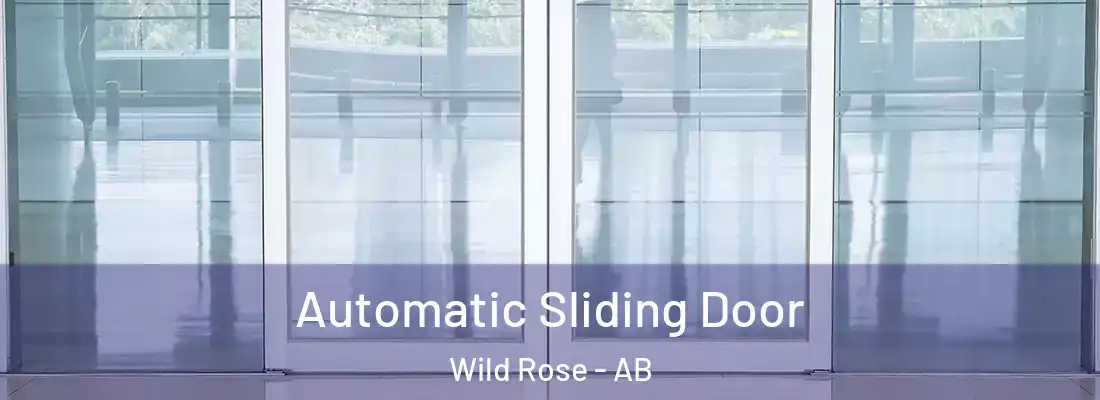  Automatic Sliding Door Wild Rose - AB