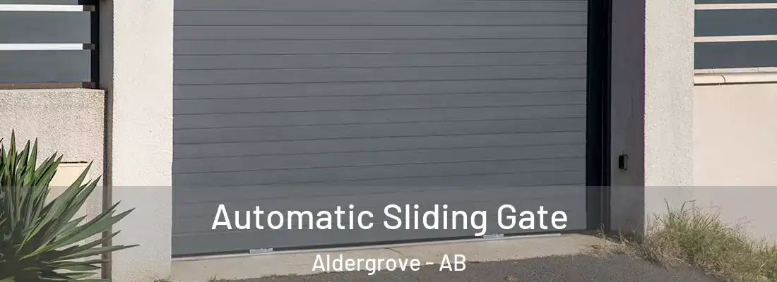  Automatic Sliding Gate Aldergrove - AB