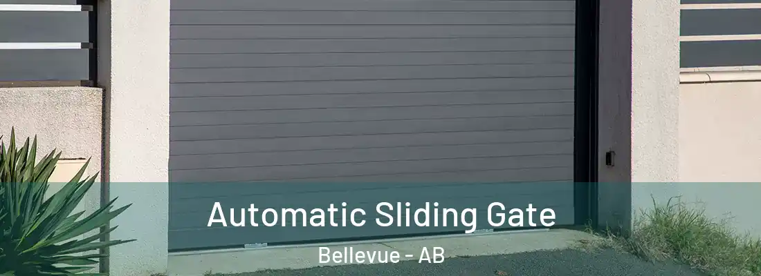  Automatic Sliding Gate Bellevue - AB