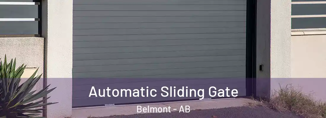 Automatic Sliding Gate Belmont - AB