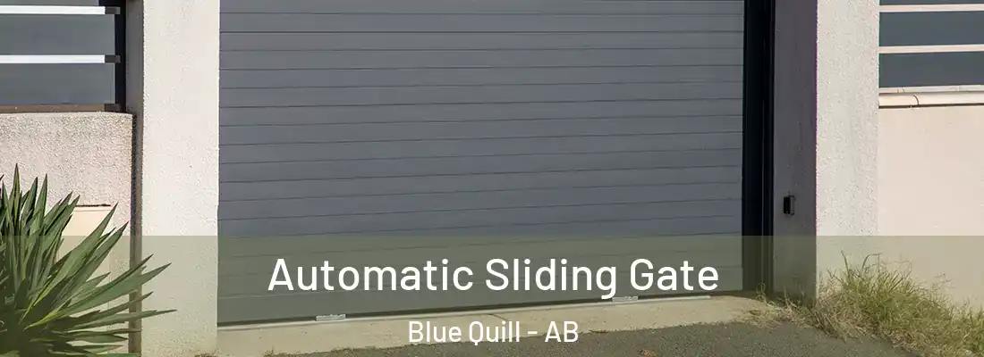  Automatic Sliding Gate Blue Quill - AB