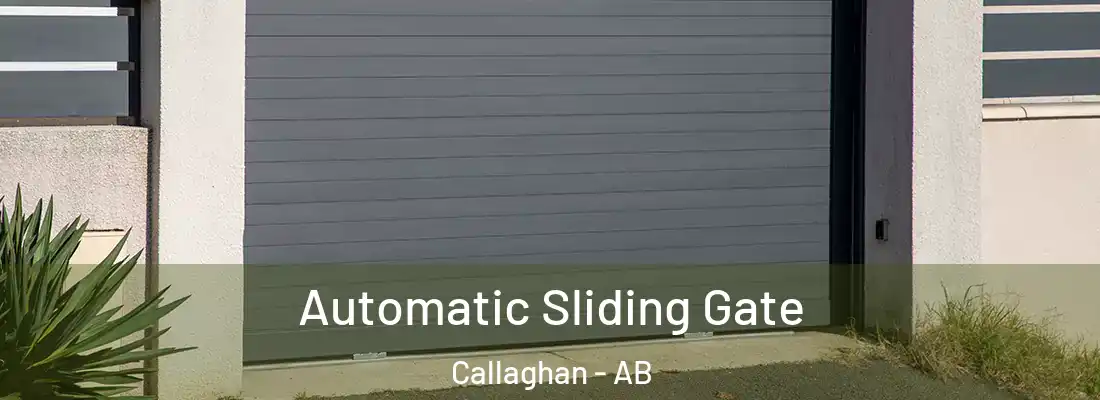  Automatic Sliding Gate Callaghan - AB