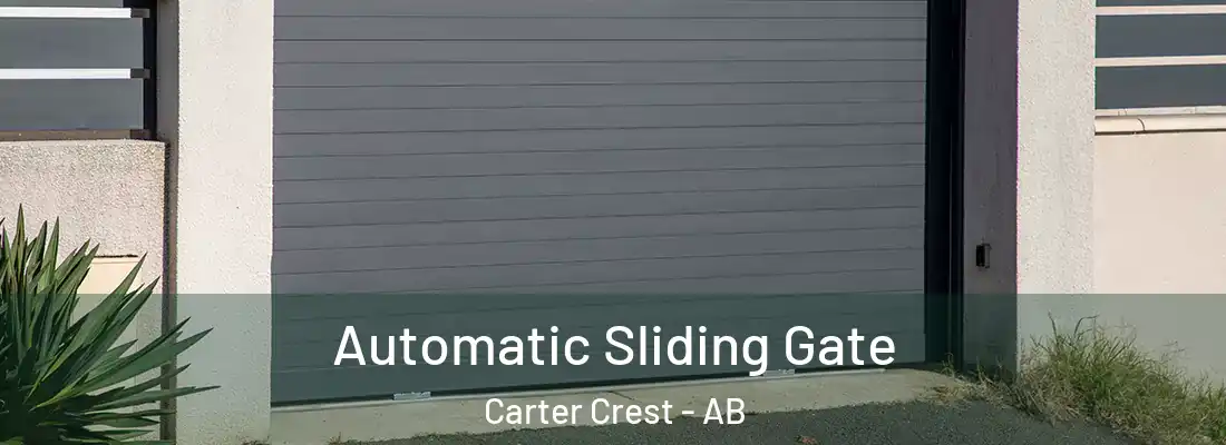  Automatic Sliding Gate Carter Crest - AB