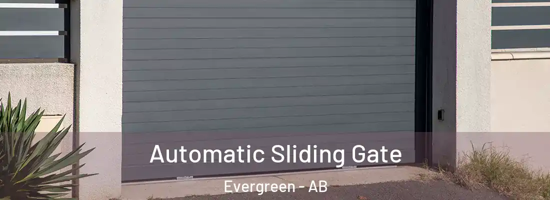  Automatic Sliding Gate Evergreen - AB