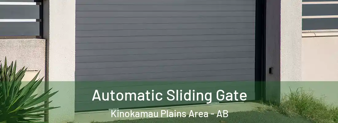  Automatic Sliding Gate Kinokamau Plains Area - AB