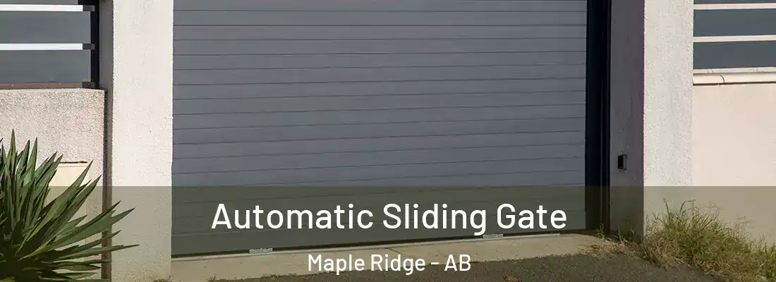  Automatic Sliding Gate Maple Ridge - AB