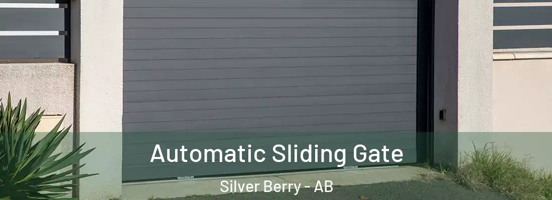  Automatic Sliding Gate Silver Berry - AB