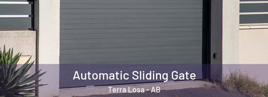  Automatic Sliding Gate Terra Losa - AB