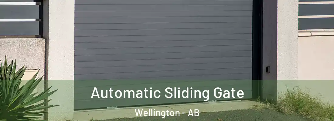  Automatic Sliding Gate Wellington - AB