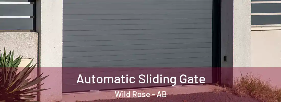  Automatic Sliding Gate Wild Rose - AB