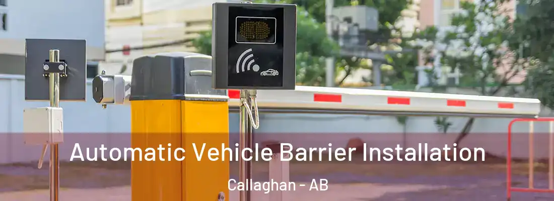  Automatic Vehicle Barrier Installation Callaghan - AB