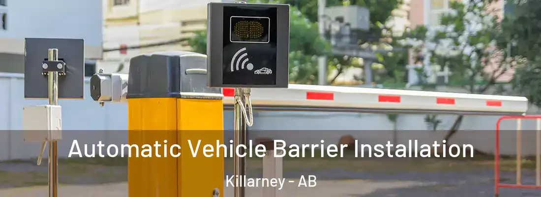  Automatic Vehicle Barrier Installation Killarney - AB