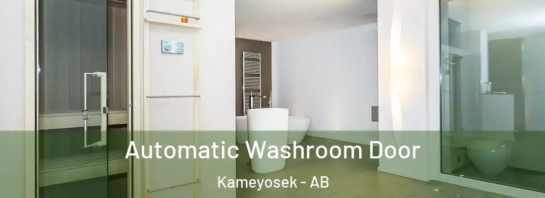  Automatic Washroom Door Kameyosek - AB