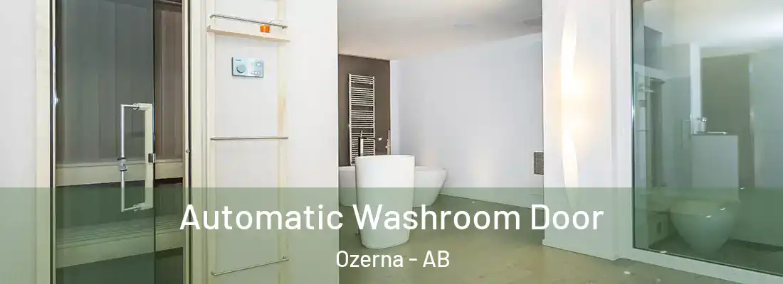  Automatic Washroom Door Ozerna - AB