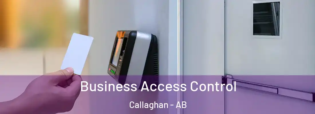  Business Access Control Callaghan - AB