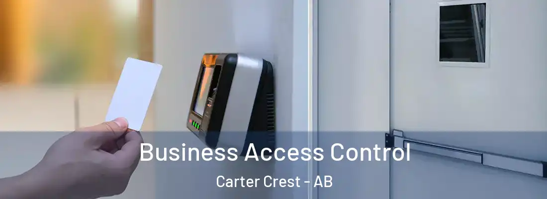  Business Access Control Carter Crest - AB
