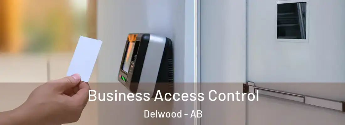  Business Access Control Delwood - AB