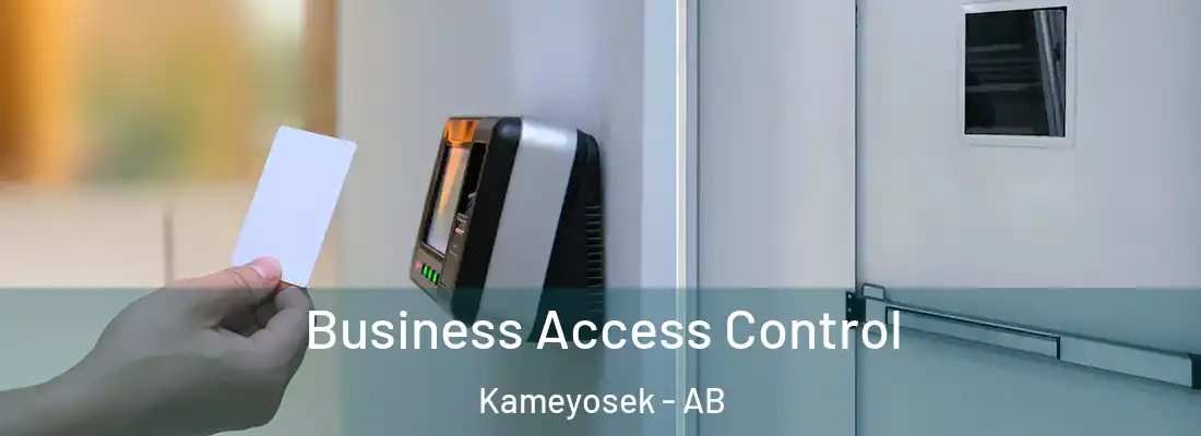  Business Access Control Kameyosek - AB
