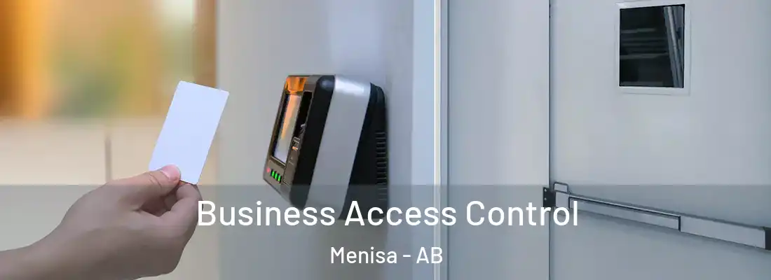  Business Access Control Menisa - AB
