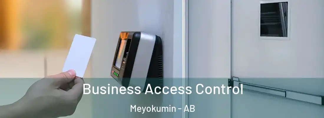  Business Access Control Meyokumin - AB