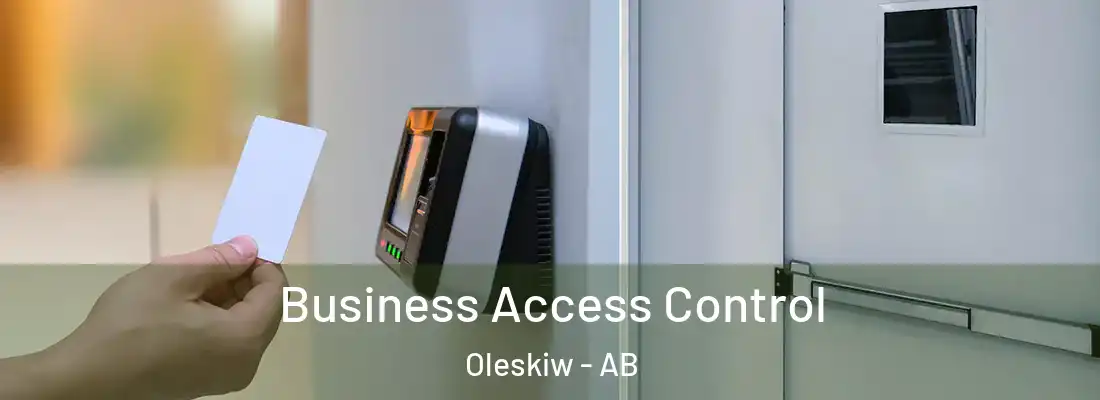 Business Access Control Oleskiw - AB