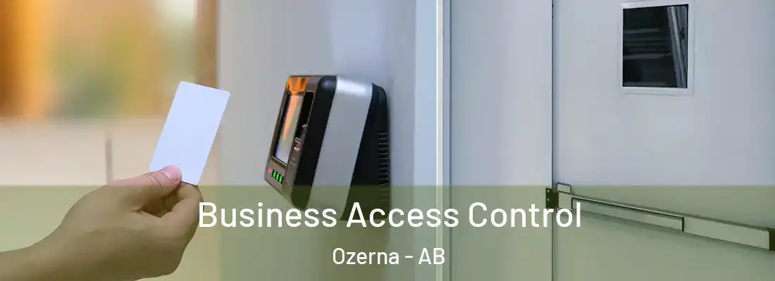  Business Access Control Ozerna - AB