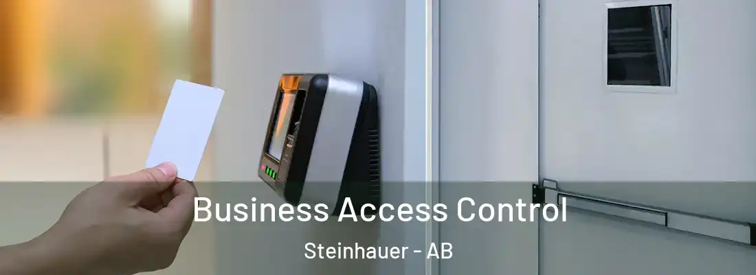  Business Access Control Steinhauer - AB