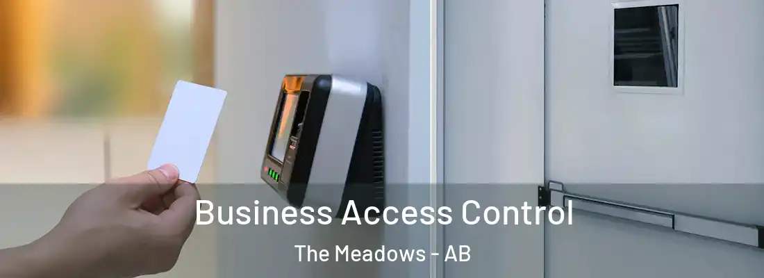  Business Access Control The Meadows - AB