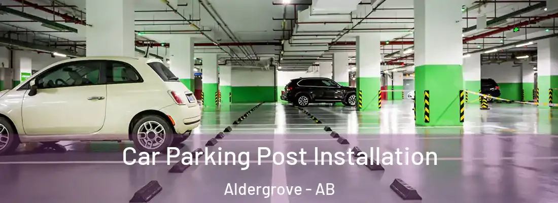  Car Parking Post Installation Aldergrove - AB