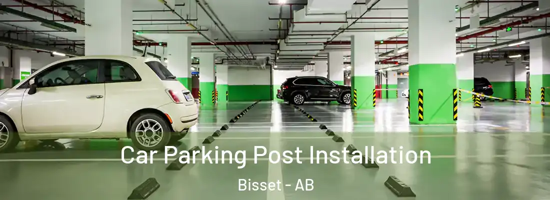  Car Parking Post Installation Bisset - AB