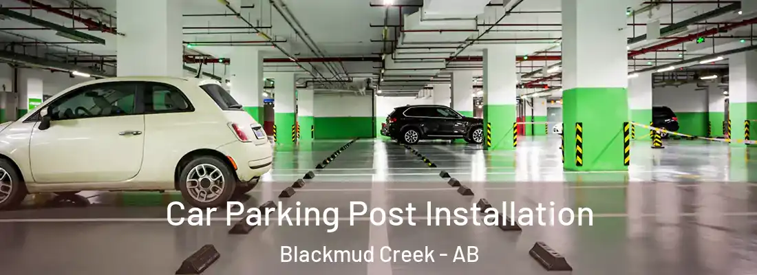  Car Parking Post Installation Blackmud Creek - AB