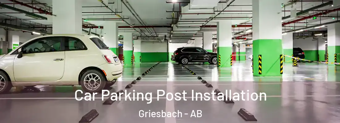  Car Parking Post Installation Griesbach - AB
