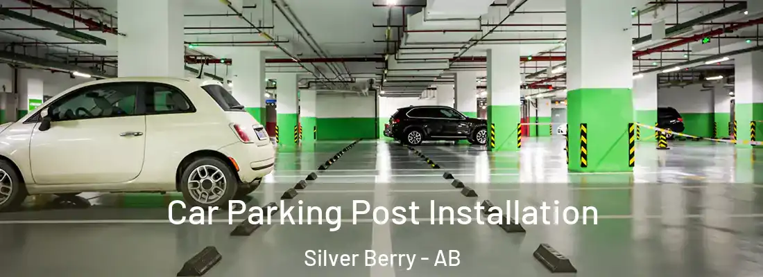  Car Parking Post Installation Silver Berry - AB