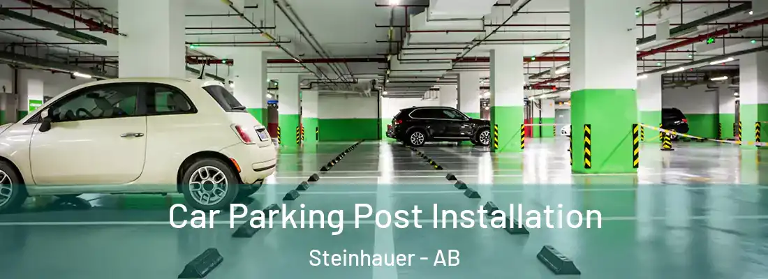  Car Parking Post Installation Steinhauer - AB