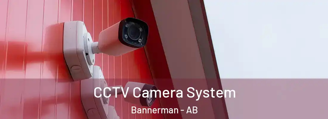  CCTV Camera System Bannerman - AB