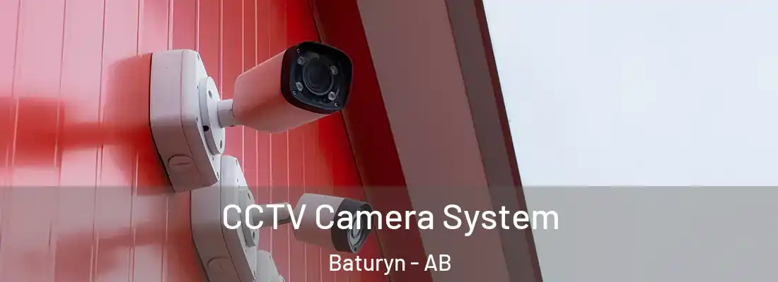  CCTV Camera System Baturyn - AB
