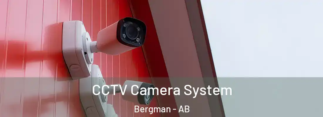  CCTV Camera System Bergman - AB