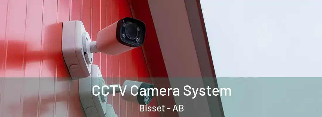  CCTV Camera System Bisset - AB
