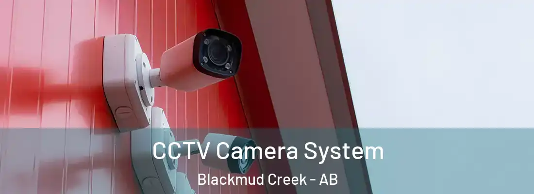  CCTV Camera System Blackmud Creek - AB