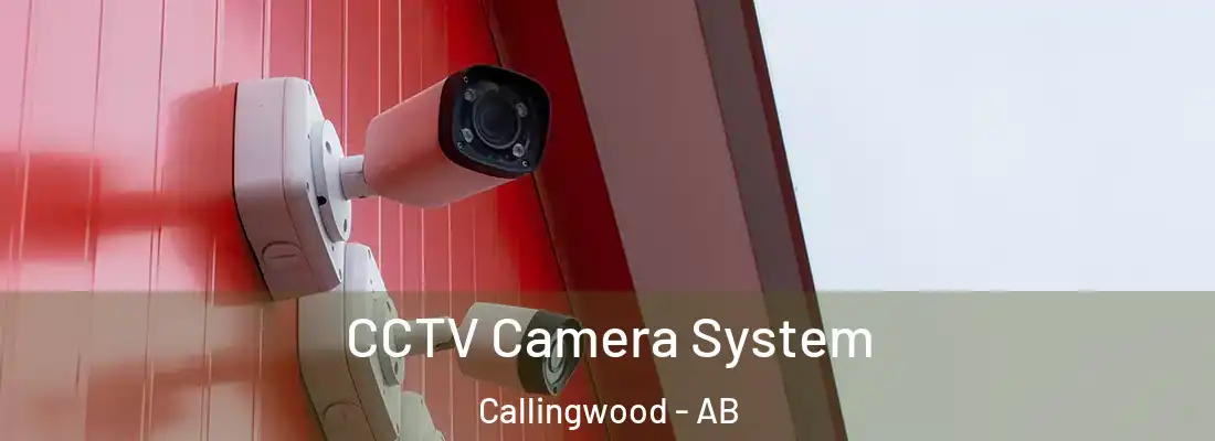  CCTV Camera System Callingwood - AB