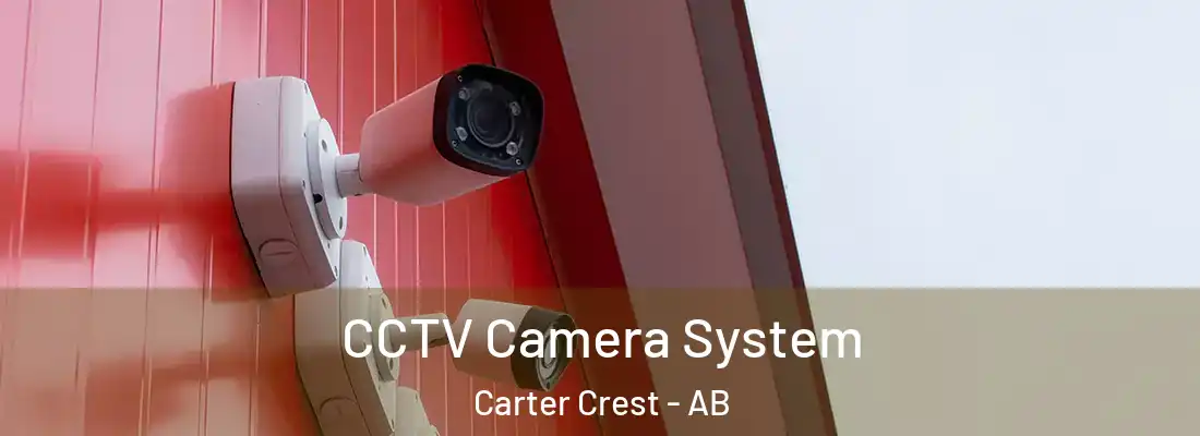  CCTV Camera System Carter Crest - AB