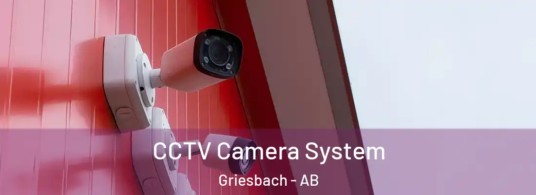  CCTV Camera System Griesbach - AB