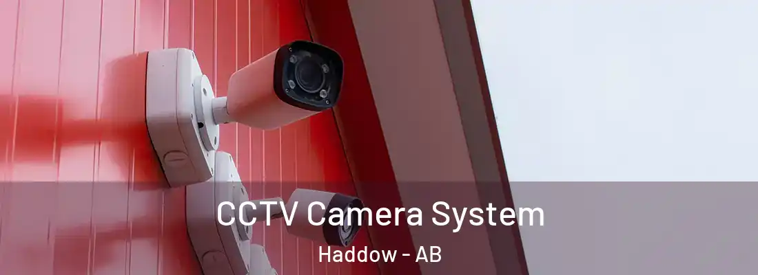  CCTV Camera System Haddow - AB