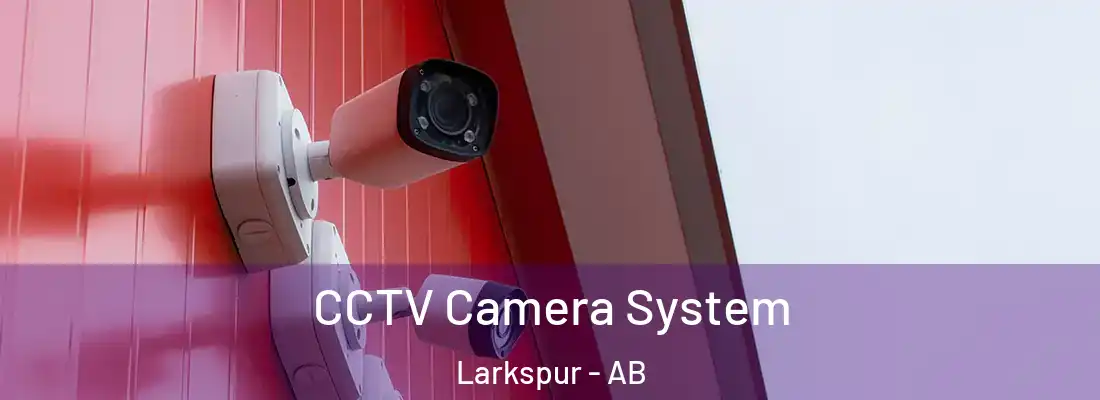  CCTV Camera System Larkspur - AB