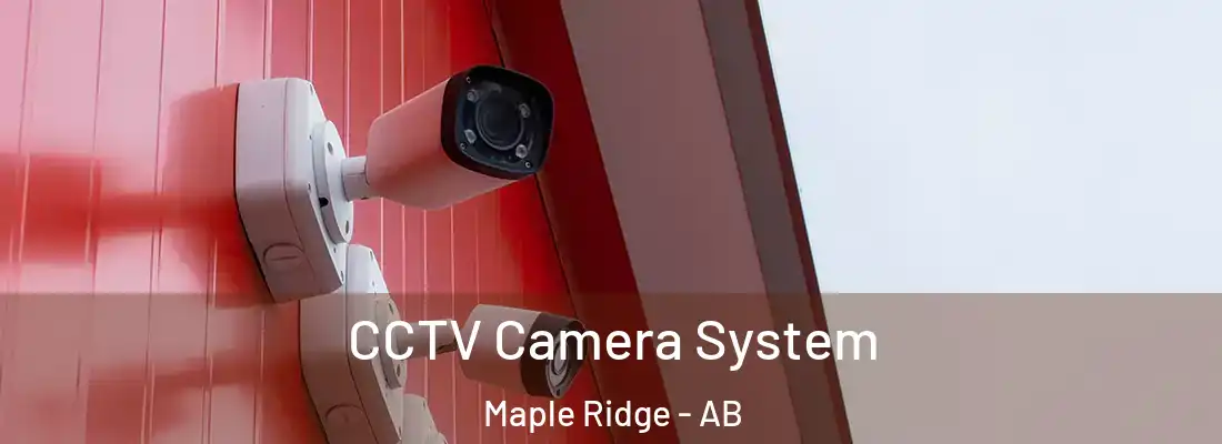  CCTV Camera System Maple Ridge - AB