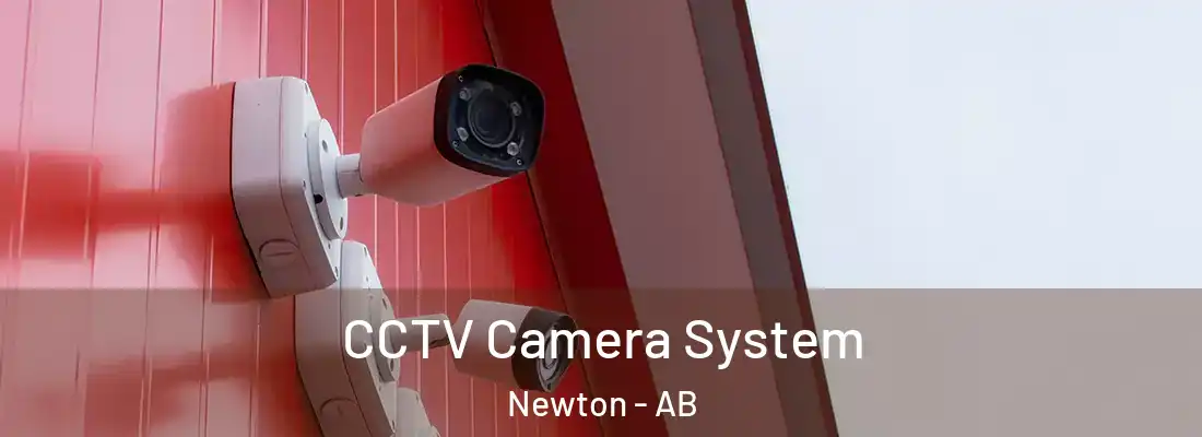  CCTV Camera System Newton - AB