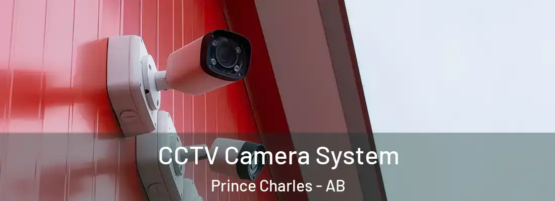  CCTV Camera System Prince Charles - AB