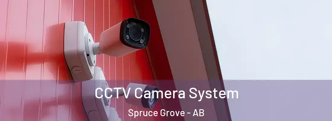  CCTV Camera System Spruce Grove - AB